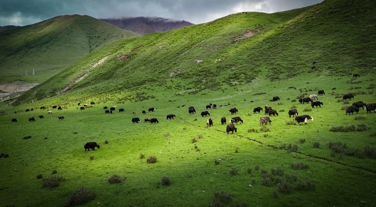 微信截图_20250721105114.jpg 微信截图_20250721105114.jpg