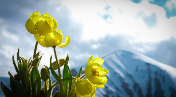 微信截图_20250721105100.jpg 微信截图_20250721105100.jpg