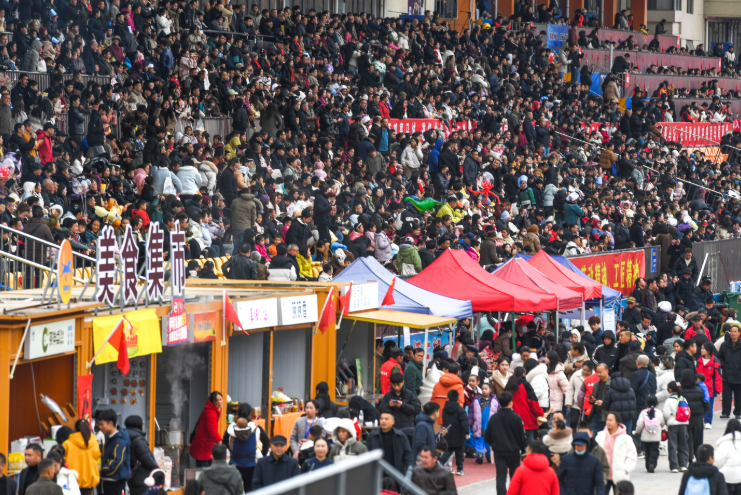 村马.png 村马.png