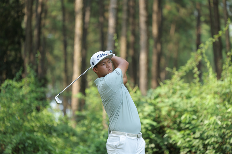 W020250905522006452820.jpg W020250905522006452820.jpg