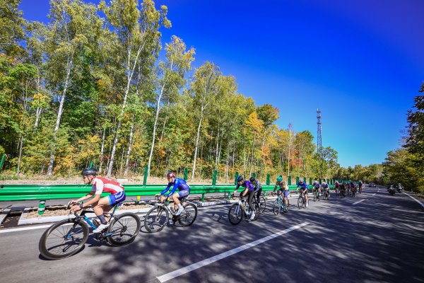 readimg (2).jpg readimg (2).jpg