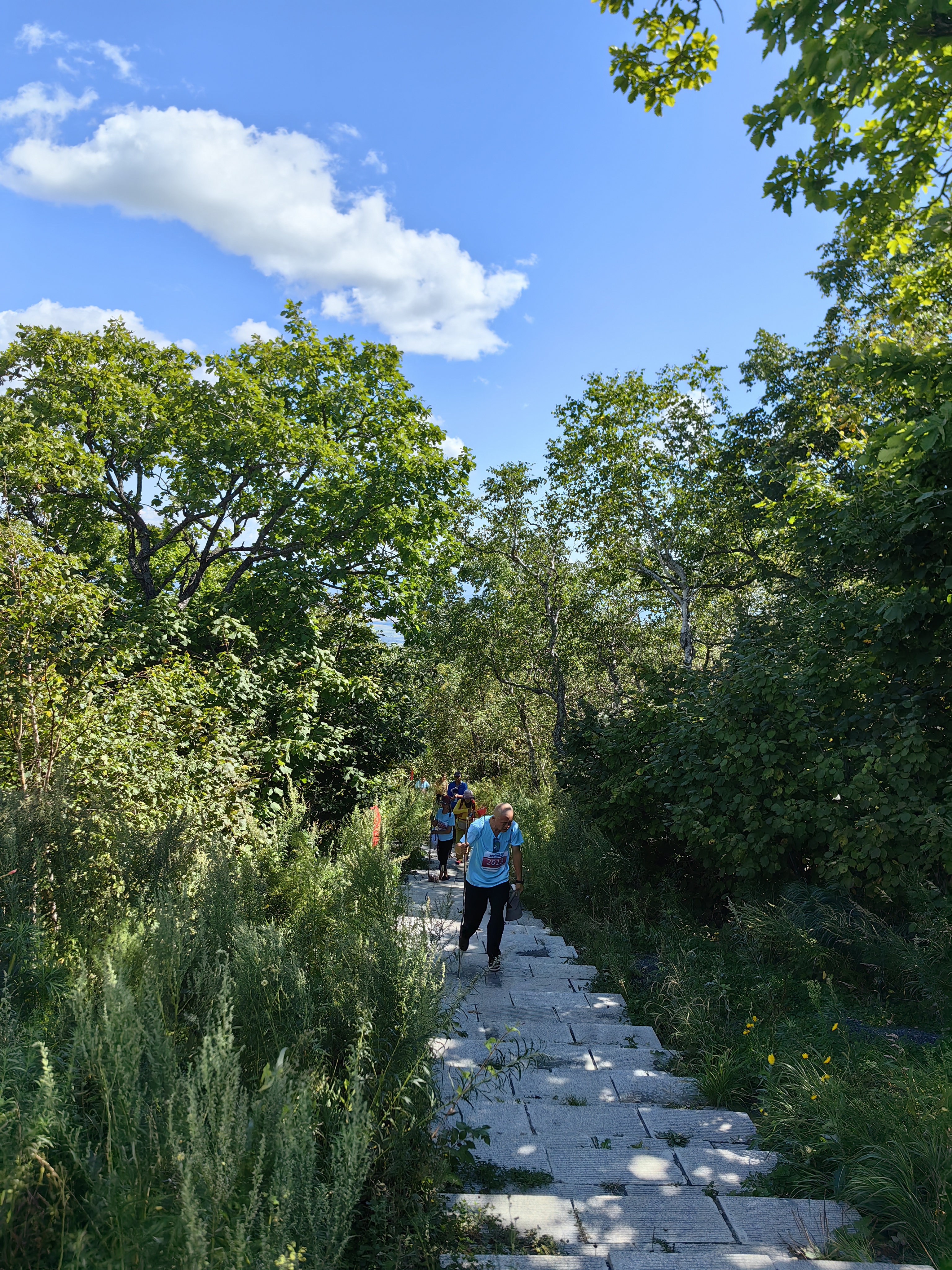 IMG_20250907_105449.jpg IMG_20250907_105449.jpg