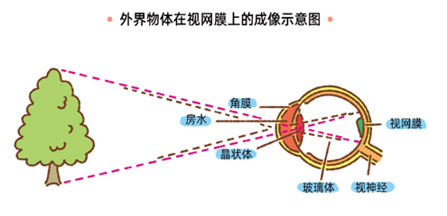 0910-眼睛1.png 0910-眼睛1.png