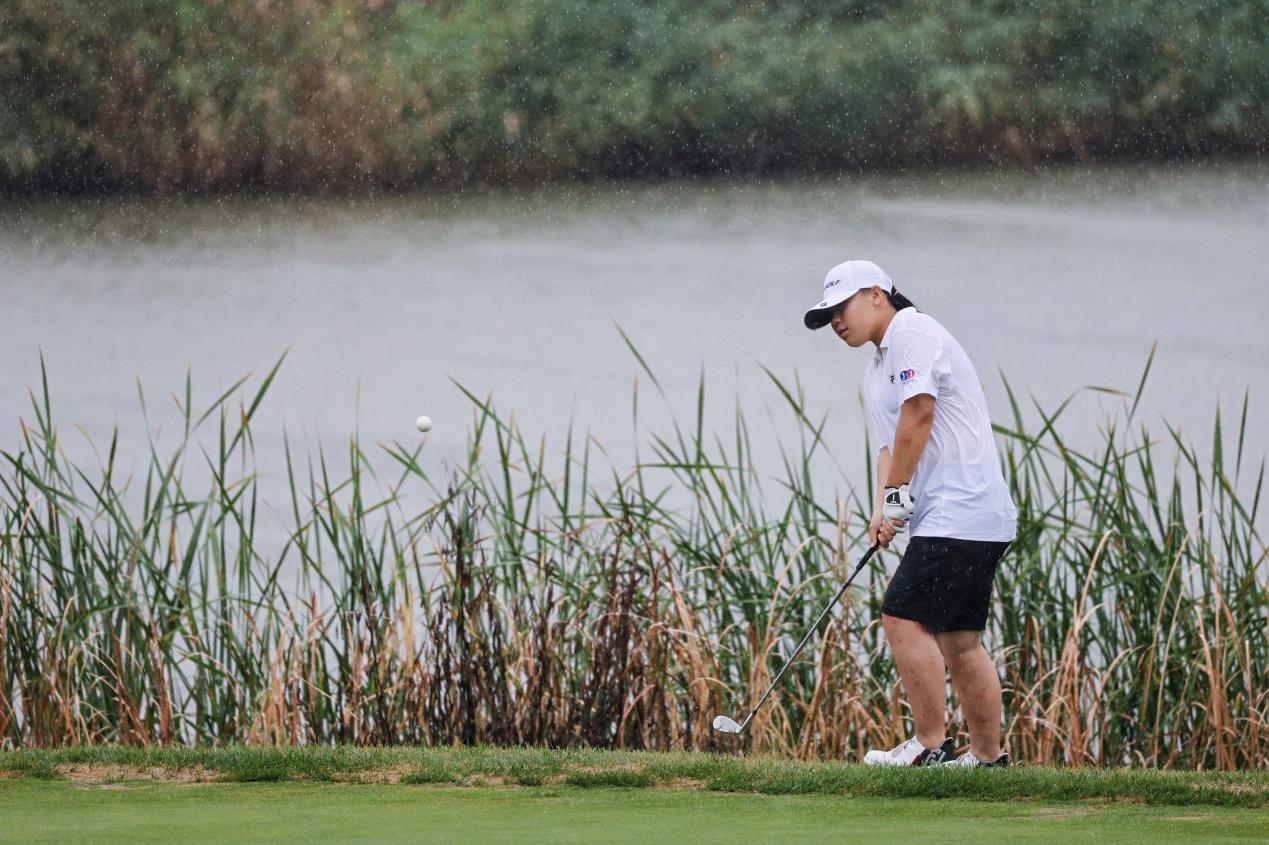 20250917_172342.jpeg 20250917_172342.jpeg