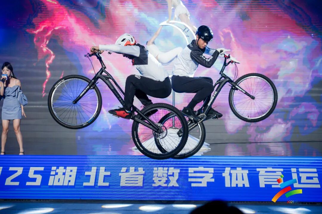 图片14.jpg 图片14.jpg