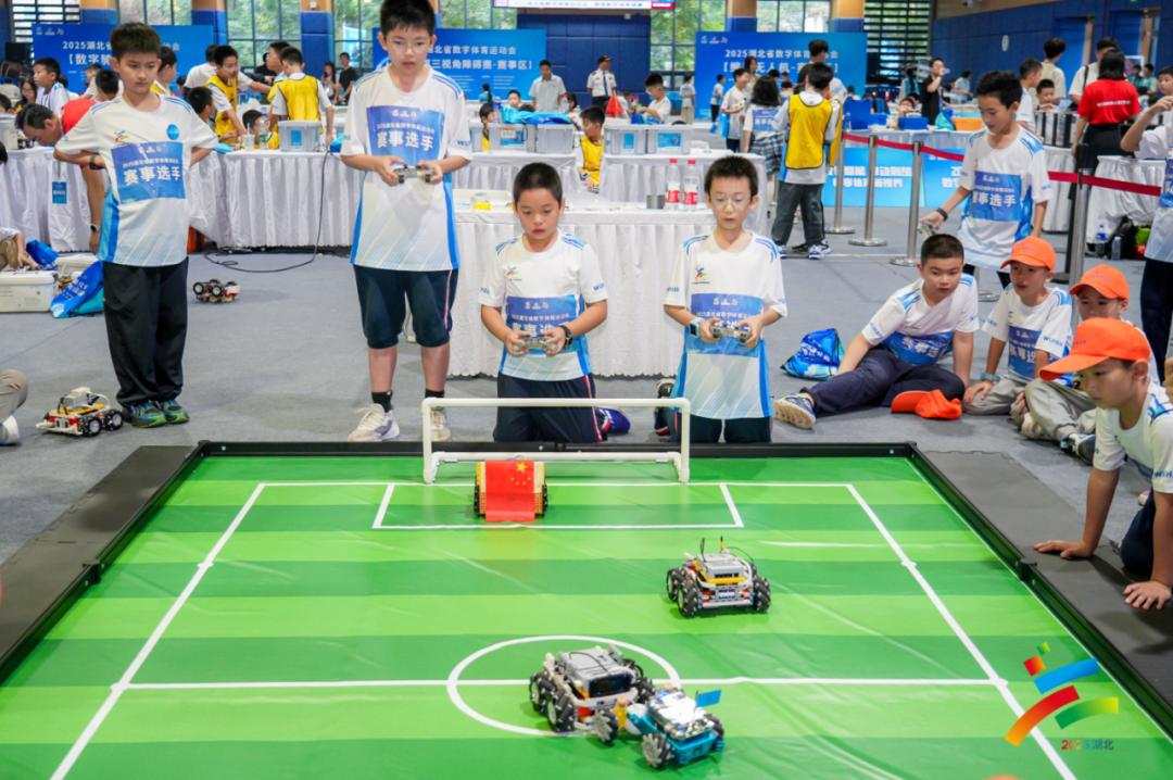 图片13.jpg 图片13.jpg