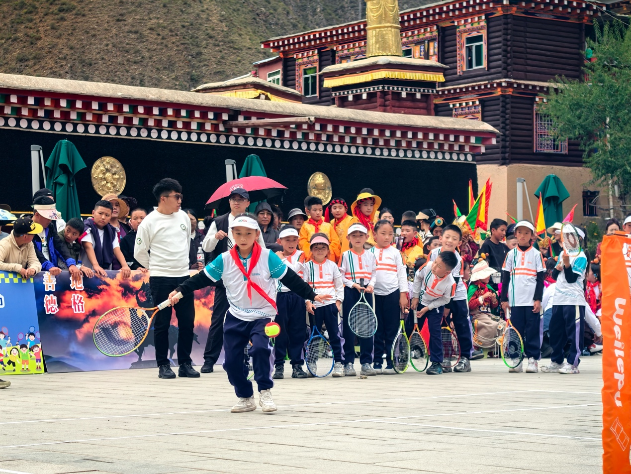 图33331.png 图33331.png