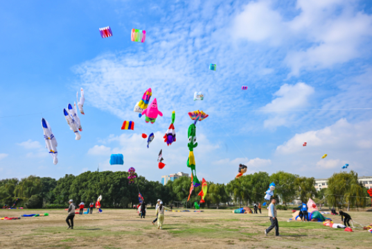 wechat_2025-10-28_182246_675.png wechat_2025-10-28_182246_675.png