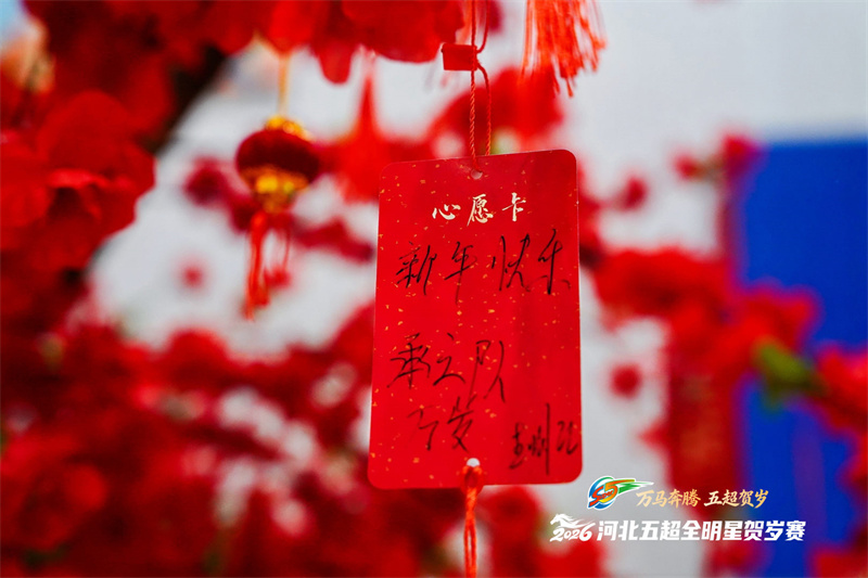 W020260211367189762183.jpg W020260211367189762183.jpg