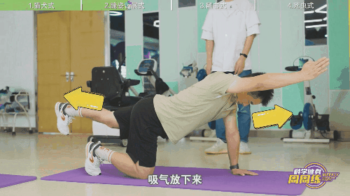 脊柱健康操07.gif