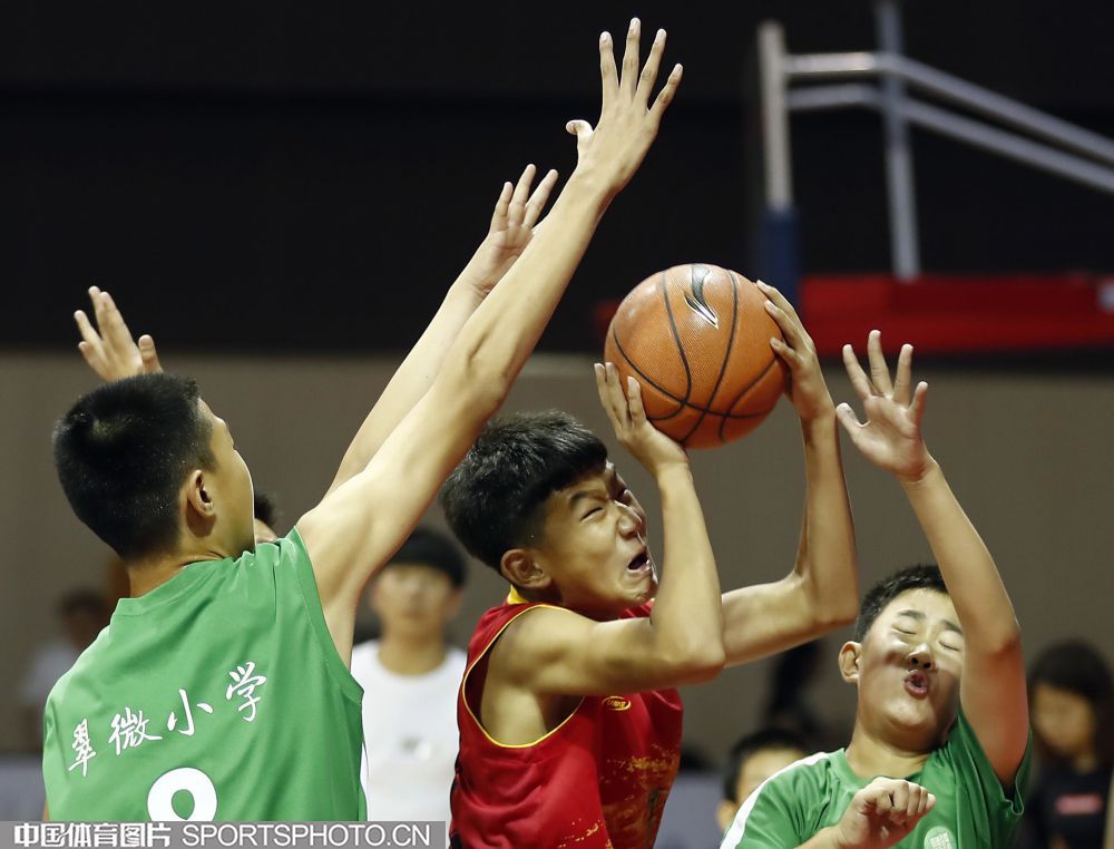 W_47082730_18061822_wxm.jpg W_47082730_18061822_wxm.jpg