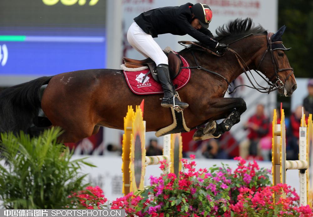 0426-马术.jpg 0426-马术.jpg