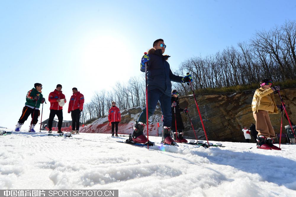 W_8581898_19020619_y.jpg W_8581898_19020619_y.jpg